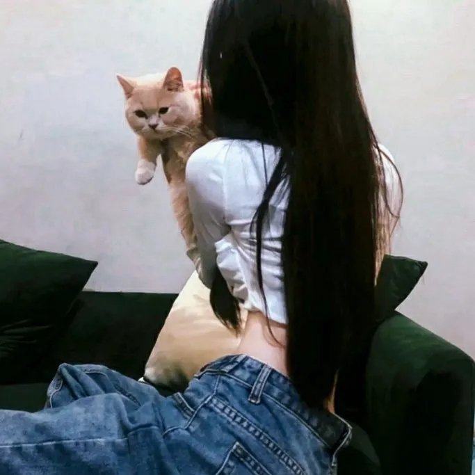 电子陷阱 封面